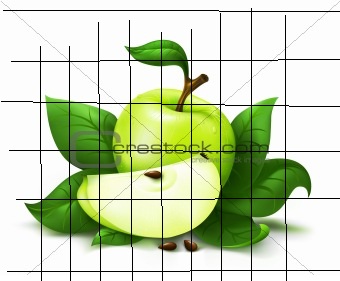 Apple with leafs vector